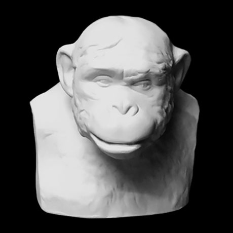 Гипсовая фигура бюст шимпанзе