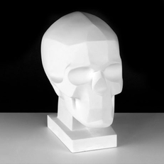 Фигура из гипса Обрубовка черепа по Баммесу (Рубленые края) на стойке