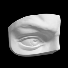 Гипсовая анатомическая деталь Глаз Давида правый 20*11*14 см