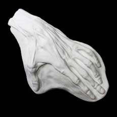 Фигура из гипса Кисть анатомическая 26,5*16,5*7 см