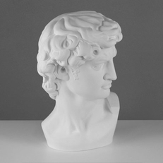 Фигура из гипса Голова Давида Микеланджело 30*26*46 см