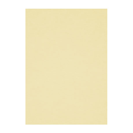 Бумага для пастели Fabriano "Тiziano" А4 160 г, №02 кремовый