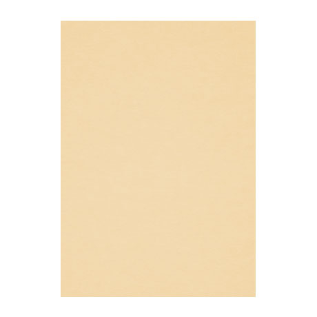 Бумага для пастели Fabriano "Тiziano" А4 160 г, №05 насыщенный кремовый