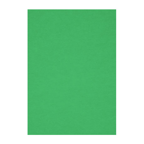 Бумага для пастели Fabriano "Тiziano" А4 160 г, №12 зеленый