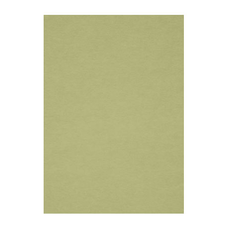Бумага для пастели Fabriano "Тiziano" А4 160 г, №14 оливковый