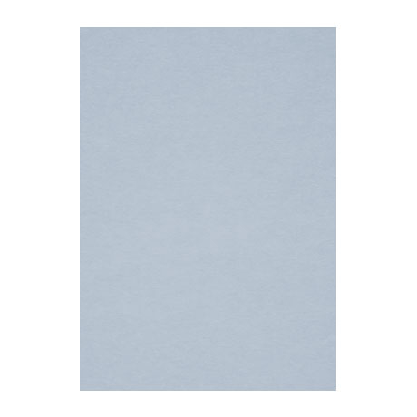 Бумага для пастели Fabriano "Тiziano" А4 160 г, №16 серо-голубой