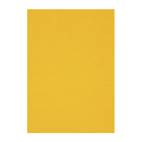 Бумага для пастели Fabriano "Тiziano" А4 160 г, №21 оранжевый