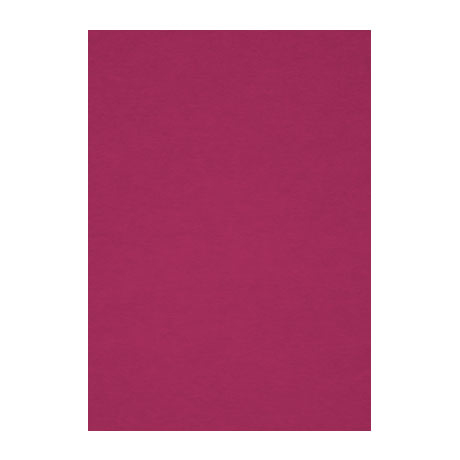 Бумага для пастели Fabriano "Тiziano" А4 160 г, №23 фиолетовый (Амарант)