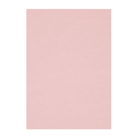 Бумага для пастели Fabriano "Тiziano" А4 160 г, №25 розовый