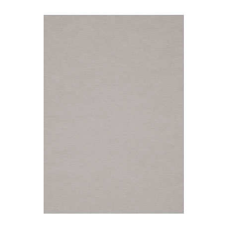 Бумага для пастели Fabriano "Тiziano" А4 160 г, №28 серый