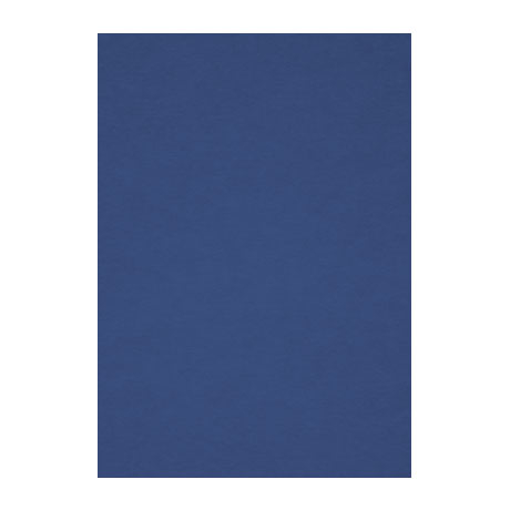 Бумага для пастели Fabriano "Тiziano" А4 160 г, №42 темно-синий