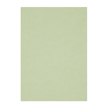 Бумага для пастели Fabriano "Тiziano" А4 160 г, №11 салатовый
