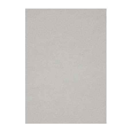 Бумага для пастели Fabriano "Тiziano" А4 160 г, №29 туман