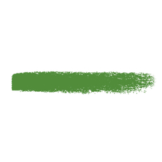 Пастель масляная Mungyo, цвет № 269 Светлый болотно-зелёный